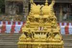 காஞ்சிபுரம் அத்தி வரதர் வைபவ விழாவில் புரோக்கர்கள் பணம் பறிக்க திட்டம்