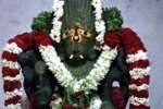 கள்ளக்குறிச்சி கால பைரவருக்கு சங்காபிஷேகம்