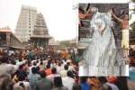 திருவண்ணாமலையில் நந்திக்கு சிறப்பு அபிஷேகம்