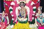 பாலமுருகன் கோவிலில் ஊஞ்சல் உற்சவம்