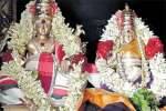 மழை வேண்டி 11 குதிரைகளை வைத்து அஸ்வமேத யாகம்