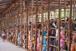 அத்தி வரதர் வைபவம்: ரூ.50 கட்டணம் ரத்து