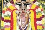 தன்வந்திரி அலங்காரத்தில் சரநாராயண பெருமாள் அருள்பாலிப்பு