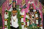 ஆஷாட ஏகாதசி: பாண்டுரங்கன் பாதம் பணிந்து பக்தர்கள் வழிபாடு