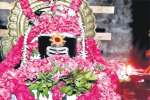 பழநி சிவன் கோயில்களில் பிரதோஷ சிறப்பு வழிபாடு