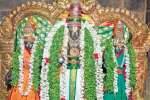 வத்திராயிருப்பு கோயிலில் சிறப்பு திருமஞ்சனம்