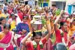 செல்லாண்டியம்மன் திருவிழா: பக்தர்கள் பால்குட ஊர்வலம்