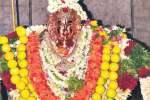 அழகர்கோவில் நுாபுர கங்கையில் புனித நீராடல்