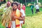 சபரிமலையில் நிறைபுத்தரிசி பூஜை: பக்தர்கள் தரிசனம்