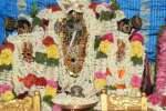 திருப்பாதிரிப்புலியூர் வரதராஜ பெருமாள் கோவிலில் கருட ஜெயந்தி