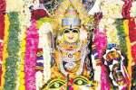ராமநாதபுரம் முத்துமாரியம்மன் பாரி விழா
