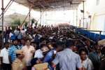 அத்தி வரதர் வைபவம்: ரணகளமாக காட்சியளிக்கும் வி.ஐ.பி., வரிசை