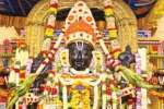 காஞ்சி அத்தி வரதர் வைபவம் நிறைவு: இன்று முதல் வழக்கமான வழிபாடு