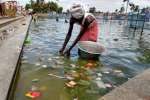 திருநள்ளார் நளன் குளம் சுத்தம் செய்யும் பணியில் ஊழியர்கள்