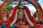 சூரியபிரபை வாகனத்தில் வேணுகோபாலன் வீதி உலா