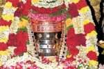 போடி சிவன் கோயில்களில் சிறப்பு பூஜை