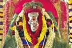 திருப்பூரில் களை கட்டிய விநாயகர் சதுர்த்தி! வீதிக்கு வீதி பெருக்கெடுத்த உற்சாகம்