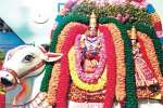 விருதுநகர் சொக்கநாதர் கோயில் விழா துவக்கம்