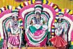 மந்தாரக்குப்பம் விநாயகருக்கு திருக்கல்யாணம்