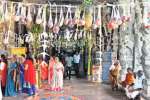 ஏகாம்பரநாதர் கோவிலில் அன்னப்பாவாடை உற்சவம்