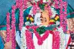 அருணாச்சலேஸ்வரர் கோவில் ஆண்டு விழா: பக்தர்கள் பரவசம்