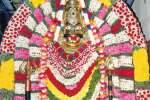 மகாராஜா சுவாமி கோயிலில் கொடைவிழா