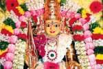 துள்ளு மாரியம்மன் கோயில் பொங்கல் விழா