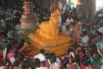 கடலூர் பாடலீஸ்வரர் கோவிலில் பிரதோஷ பூஜை