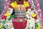 வால்பாறை காசிவிஸ்வநாதருக்கு பிரதோஷ வழிபாடு