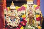 பண்ருட்டி வரதராஜபெருமாள் கோவிலில் நவராத்திரி பூஜை