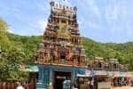 சோலைமலை முருகன் உண்டியல் திறப்பு