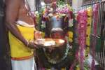 வீரட்டானேஸ்வரர் கோவிலில் பிரதோஷ வழிபாடு