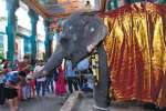 மணக்குள விநாயகர் கோவில் யானை பட்டாடை அணிந்து ஆசி