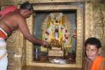 திட்டை கோவிலில் குருப்பெயர்ச்சி விழா: குவிந்த பக்தர்கள்