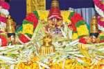 திருமலையில் புஷ்பயாகம்: 13 டன் மலர்களால் அபிஷேகம்
