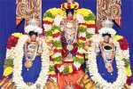 கள்ளக்குறிச்சி பெருமாள் கோவிலில் ஆழ்வார் உற்சவம்