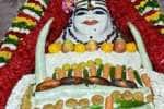 விருத்தாசலம் ஏகநாயகர் கோவிலில் அன்னாபிஷேகம்