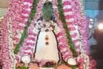 விழுப்புரம் கைலாசநாதர் கோவிலில் அன்னாபிஷேகம்