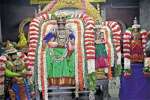 சென்னை ஏகாம்பரேஸ்வரர் கோவிலில் சிறப்பு பூஜை