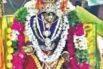 வடகத்தி காளியம்மன் கோயிலில் திருவிளக்கு பூஜை