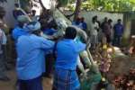 சுவாமி சிலைகள் அகற்றம்: நெல்லிக்குப்பத்தில் பரபரப்பு