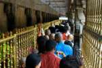 திருப்பதியில் 18 மணிநேரம் பக்தர்கள் காத்திருப்பு