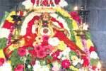 புஷ்ப அலங்காரத்தில் பெரியகுளம் பாலசாஸ்தா