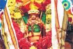 திருப்புவனத்தில் மண்டல பூஜை: ஐயப்பன் சுவாமி வீதி உலா