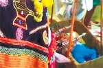 அழுத குழந்தையின் தொட்டிலை ஆட்டிய கோயில் காளை