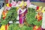 வேண்டிய வரம் கொடுக்கும் சிவகாசி வெங்கடாஜலபதி