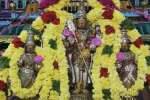 வைத்தீஸ்வரன் கோவிலில் கார்த்திகை சிறப்பு வழிபாடு
