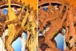 திருவாலங்காடு வடாரண்யேஸ்வரர் கோவிலில் விடிய, விடிய நடந்த அபிஷேகம்