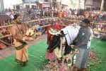 நாடு செழிக்க நன்மை தருவார் கோயிலில் கோ பூஜை