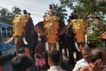 பாலக்காடு தர்ம சாஸ்தா கோவிலில் மகர விளக்கு மகோற்சவம்